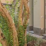 The Secret Garden Апартаменты Варенна